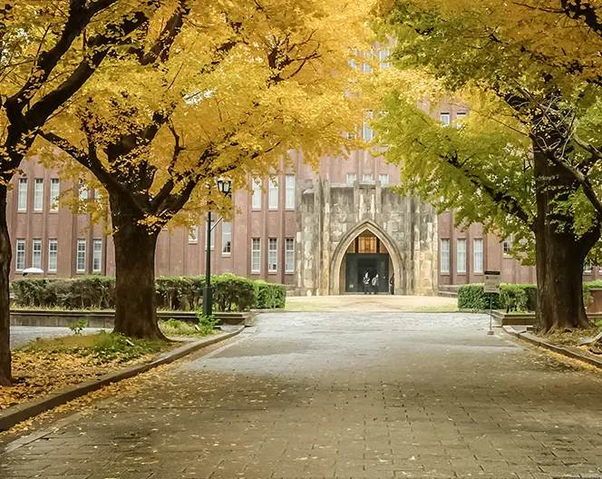 footer-x-mask-img-inr